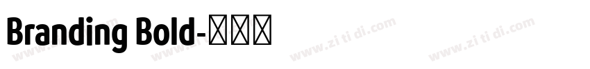 Branding Bold字体转换